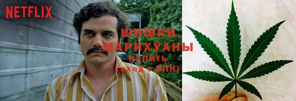 каннабис Аркадак